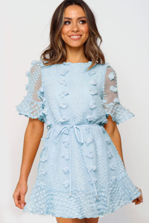Crew Neck Swiss Dot Mini Dress