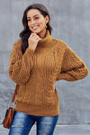 Chunky Turtleneck Sweater