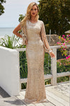 Sequin Fringe Sleeve Party Maxi Evening Dress
