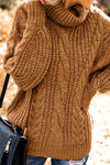 Chunky Turtleneck Sweater