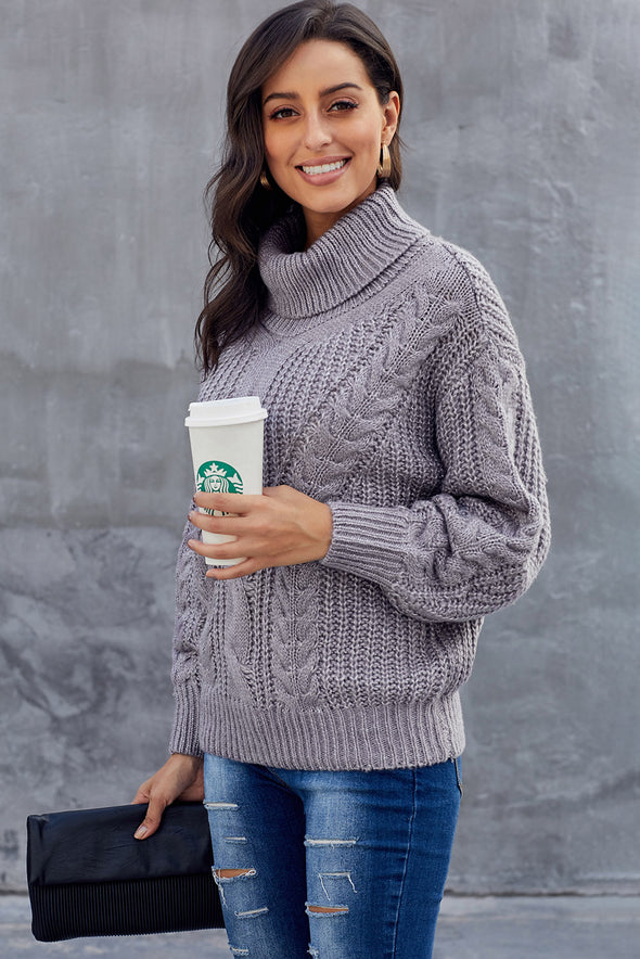 Chunky Turtleneck Sweater