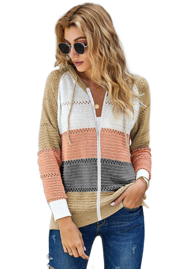 Zipped Front Colorblock Hollow-out Knit Hoodie