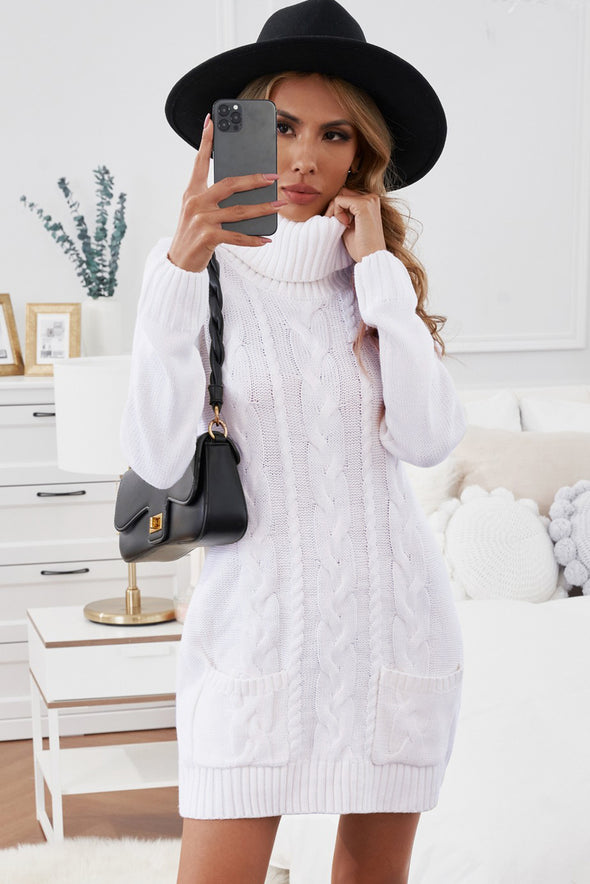 Colorblock Cowl Neck Cable Knit Sweater Dress