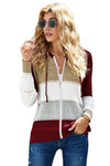 Zipped Front Colorblock Hollow-out Knit Hoodie