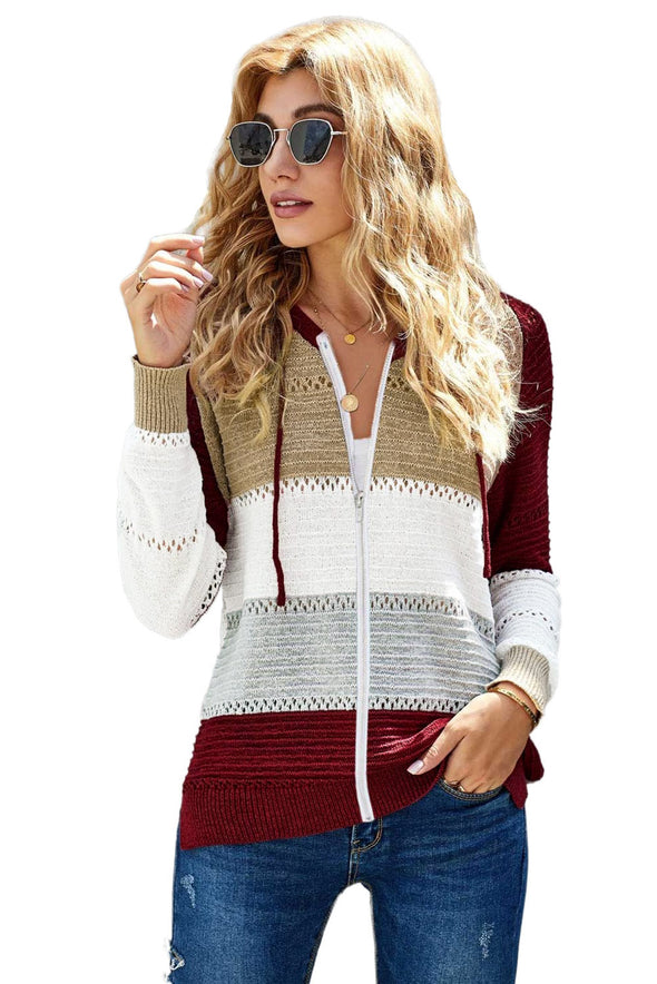 Zipped Front Colorblock Hollow-out Knit Hoodie