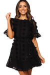 Crew Neck Swiss Dot Mini Dress