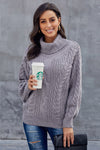 Chunky Turtleneck Sweater