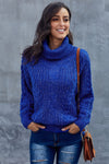 Chunky Turtleneck Sweater
