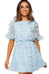 Crew Neck Swiss Dot Mini Dress
