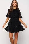 Crew Neck Swiss Dot Mini Dress