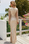 Sequin Fringe Sleeve Party Maxi Evening Dress