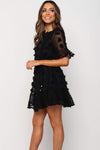 Crew Neck Swiss Dot Mini Dress