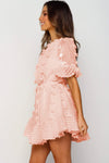 Crew Neck Swiss Dot Mini Dress