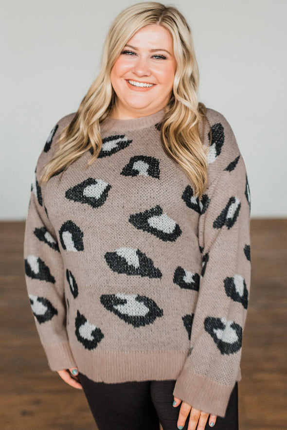 Crew Neck Knitted Plus Size Sweater