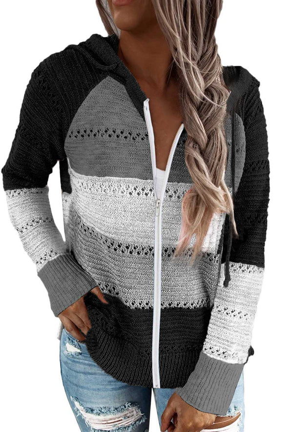 Zipped Front Colorblock Hollow-out Knit Hoodie