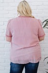 V Neck Lace Crochet Swiss Dot Short Sleeve Blouse