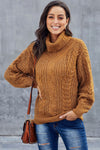 Chunky Turtleneck Sweater
