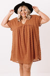 Plus Size V Neck Ruffle Swiss Dot Mini Dress with Pocket
