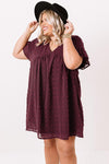 Plus Size V Neck Ruffle Swiss Dot Mini Dress with Pocket