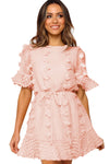 Crew Neck Swiss Dot Mini Dress