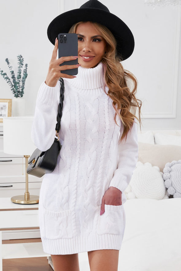 Colorblock Cowl Neck Cable Knit Sweater Dress