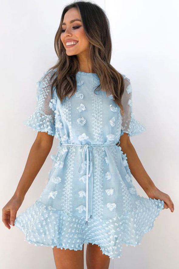 Crew Neck Swiss Dot Mini Dress