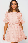 Crew Neck Swiss Dot Mini Dress