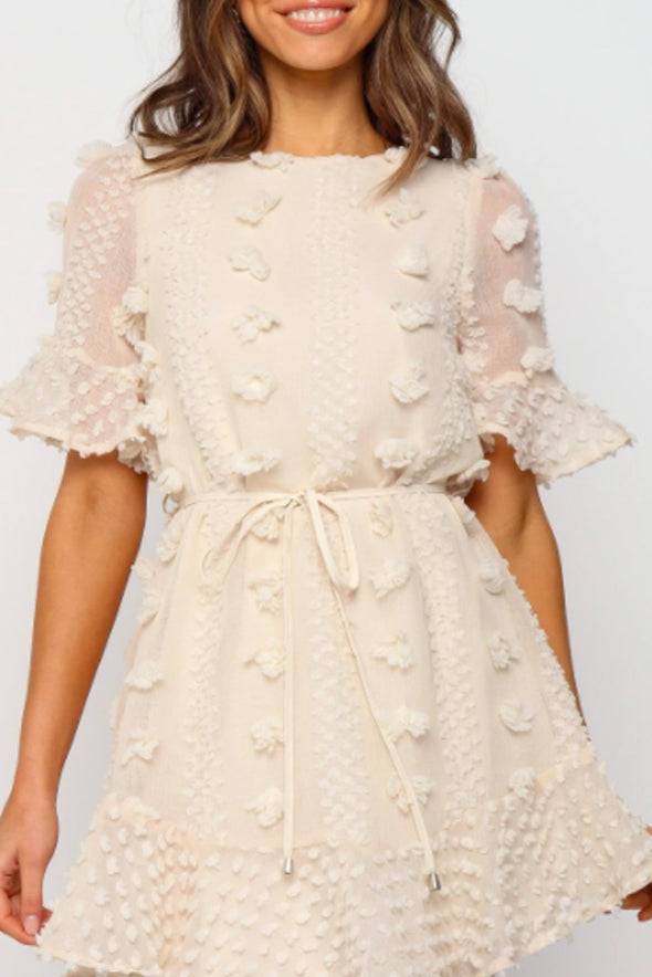 Crew Neck Swiss Dot Mini Dress