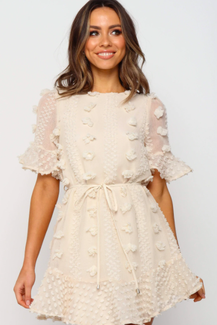 Crew Neck Swiss Dot Mini Dress
