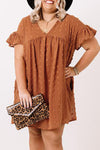 Plus Size V Neck Ruffle Swiss Dot Mini Dress with Pocket