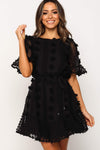 Crew Neck Swiss Dot Mini Dress