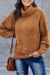 Chunky Turtleneck Sweater