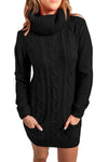 Colorblock Cowl Neck Cable Knit Sweater Dress
