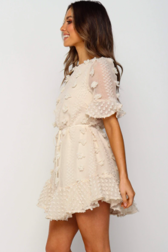 Crew Neck Swiss Dot Mini Dress
