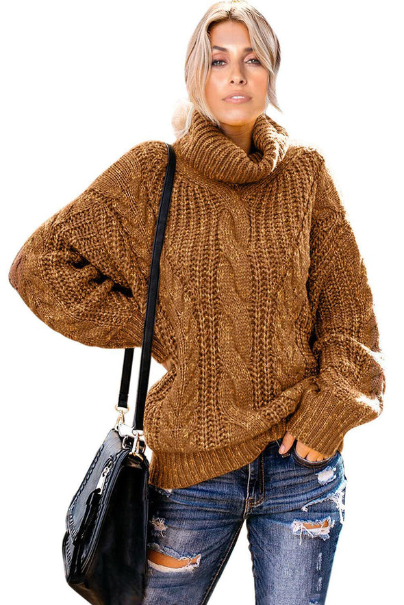 Chunky Turtleneck Sweater